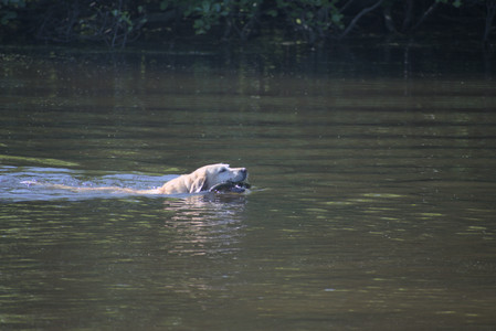 20250624_Dog park in the hot__DSC0207_.jpg
