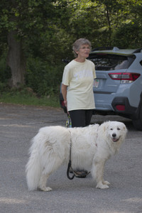 20250627_Dog Park__DSC0023_.jpg