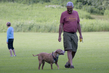 20250627_Dog Park__DSC0033_.jpg