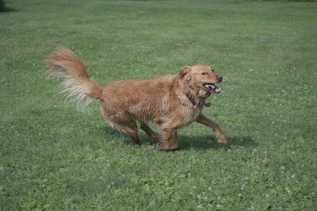20250627_Dog Park__DSC0170_.jpg