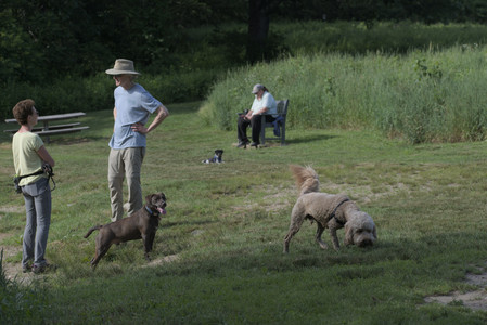 20250627_Dog Park__DSC0237_.jpg