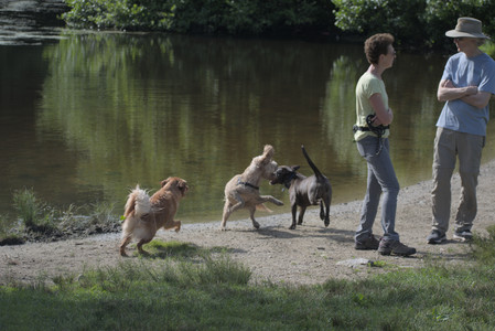 20250627_Dog Park__DSC0313_.jpg