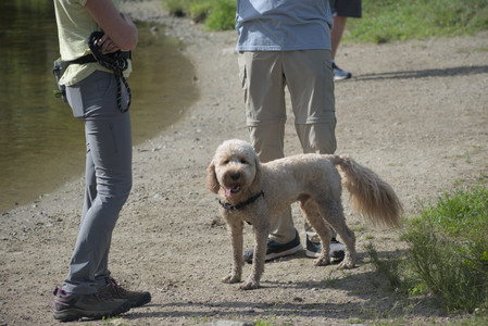 20250627_Dog Park__DSC0322_.jpg