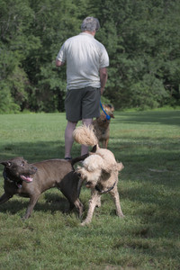 20250627_Dog Park__DSC0371_.jpg