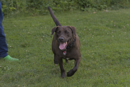 20250627_Dog Park__DSC0437_.jpg