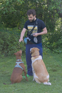 20250627_Dog Park__DSC0452_.jpg