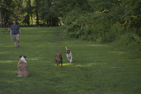 20250627_Dog Park__DSC0471_.jpg