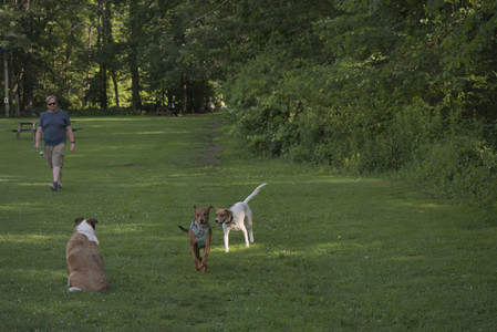 20250627_Dog Park__DSC0472_.jpg