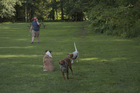 20250627_Dog Park__DSC0473_.jpg