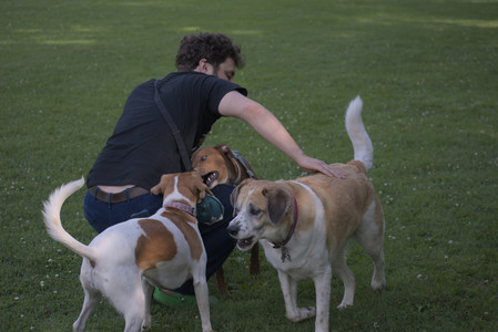 20250627_Dog Park__DSC0498_.jpg