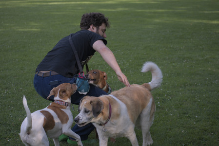 20250627_Dog Park__DSC0499_.jpg