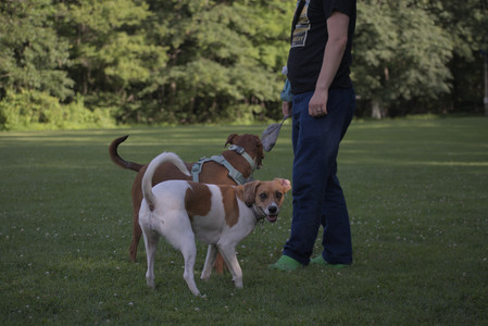 20250627_Dog Park__DSC0509_.jpg