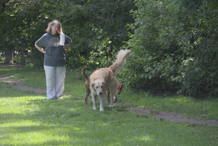 20250629_Home flowers and dog park__DSC0208_.jpg