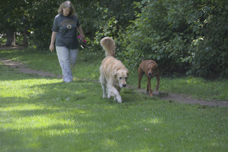 20250629_Home flowers and dog park__DSC0209_.jpg