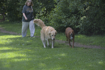 20250629_Home flowers and dog park__DSC0210_.jpg