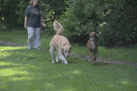 20250629_Home flowers and dog park__DSC0211_.jpg