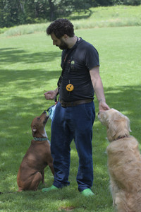 20250629_Home flowers and dog park__DSC0216_.jpg