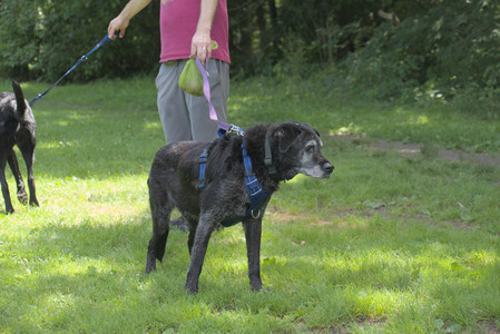 20250629_Home flowers and dog park__DSC0255_.jpg