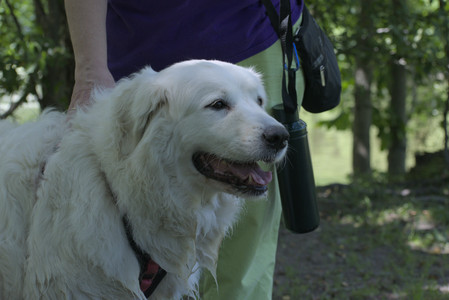 20250629_Home flowers and dog park__DSC0273_.jpg