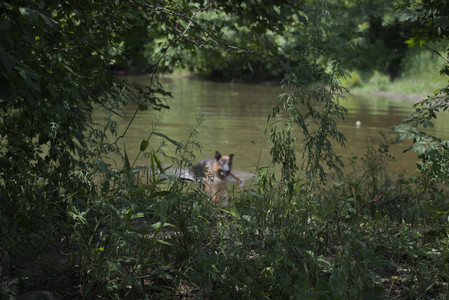 20250629_Home flowers and dog park__DSC0285_.jpg