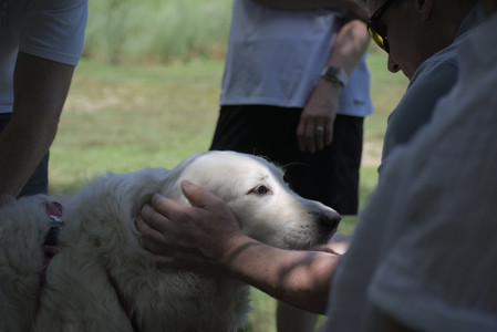 20250629_Home flowers and dog park__DSC0293_.jpg