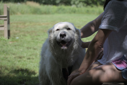 20250629_Home flowers and dog park__DSC0304_.jpg