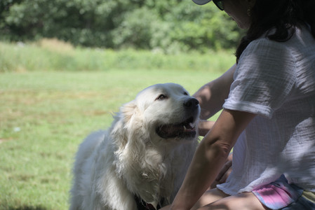 20250629_Home flowers and dog park__DSC0306_.jpg