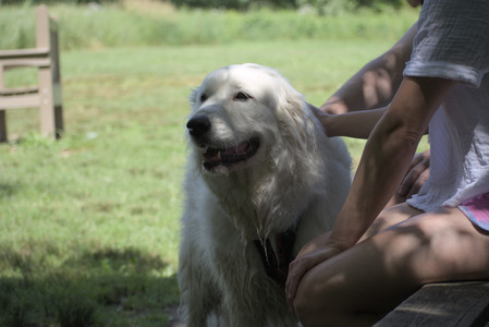 20250629_Home flowers and dog park__DSC0314_.jpg