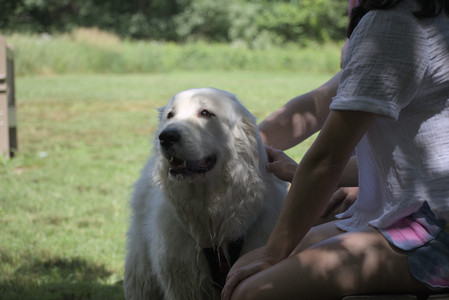 20250629_Home flowers and dog park__DSC0323_.jpg