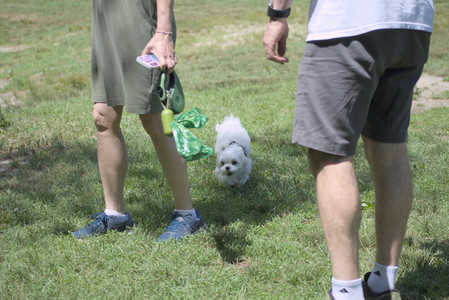 20250629_Home flowers and dog park__DSC0337_.jpg