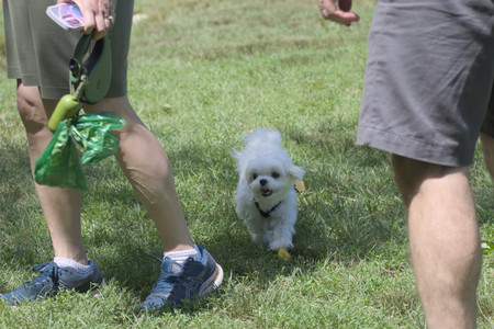 20250629_Home flowers and dog park__DSC0338_.jpg