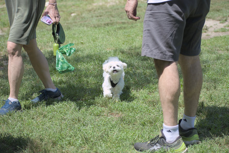 20250629_Home flowers and dog park__DSC0340_.jpg