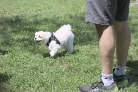 20250629_Home flowers and dog park__DSC0344_.jpg