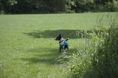 20250629_Home flowers and dog park__DSC0364_.jpg