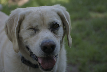 20250629_Home flowers and dog park__DSC0410_.jpg