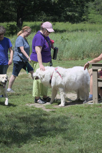 20250629_Home flowers and dog park__DSC0416_.jpg