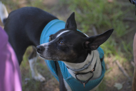 20250629_Home flowers and dog park__DSC0460_.jpg