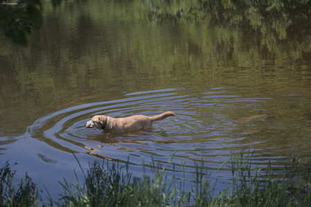 20250629_Home flowers and dog park__DSC0543_.jpg