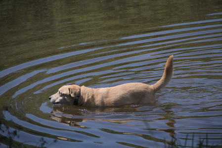 20250629_Home flowers and dog park__DSC0549_.jpg