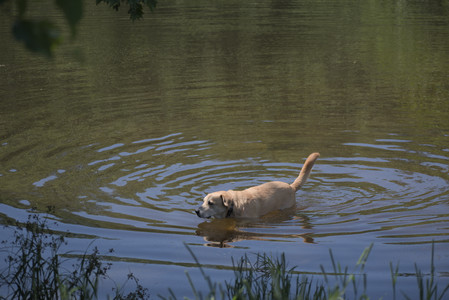 20250629_Home flowers and dog park__DSC0556_.jpg