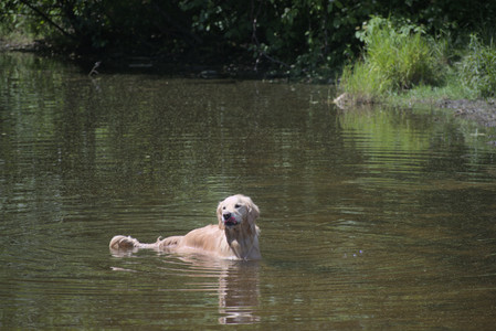 20250629_Home flowers and dog park__DSC0559_.jpg