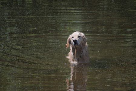 20250629_Home flowers and dog park__DSC0566_.jpg