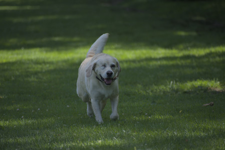 20250629_Home flowers and dog park__DSC0638_.jpg