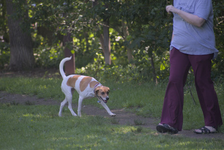 20250629_Home flowers and dog park__DSC0674_.jpg