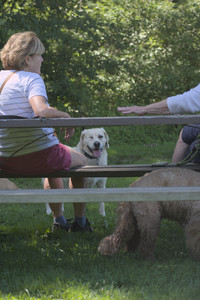 20250629_Home flowers and dog park__DSC0700_.jpg