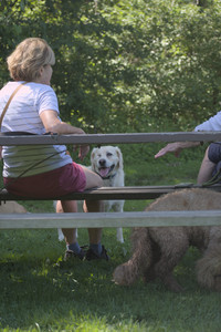 20250629_Home flowers and dog park__DSC0703_.jpg