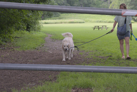20250702_Dog park and Ken and Korinne house__DSC0003_.jpg