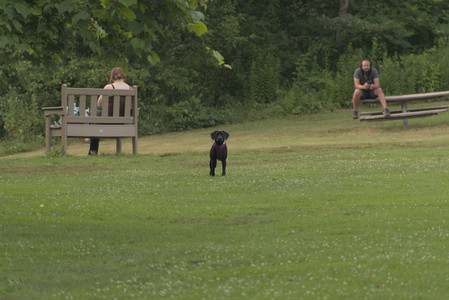 20250702_Dog park and Ken and Korinne house__DSC0005_.jpg