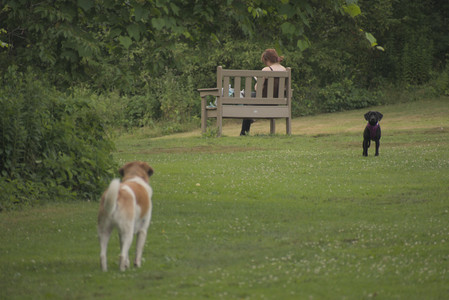 20250702_Dog park and Ken and Korinne house__DSC0009_.jpg