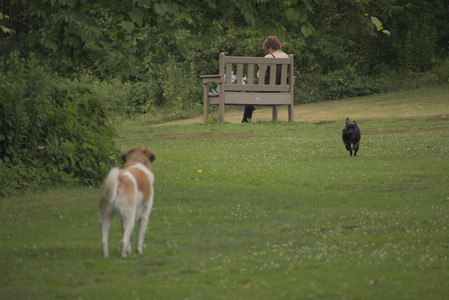 20250702_Dog park and Ken and Korinne house__DSC0012_.jpg